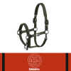 Kantar DOUBLE PIN DYNAMIC A/W 2025 - Eskadron - deep green